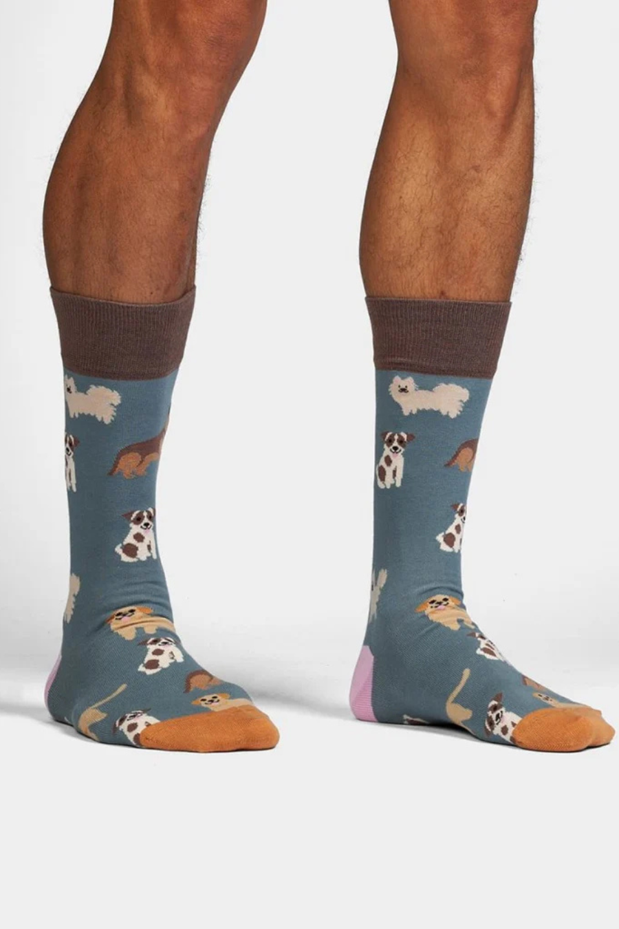 Chaussettes 'Doggy Dog' - Dilly Socks
