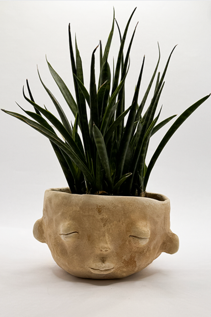 Ceramic 'Small Faces' Raw Plant - Tina Schwizgebel