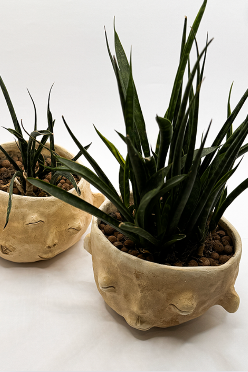 Ceramic 'Small Faces' Raw Plant - Tina Schwizgebel